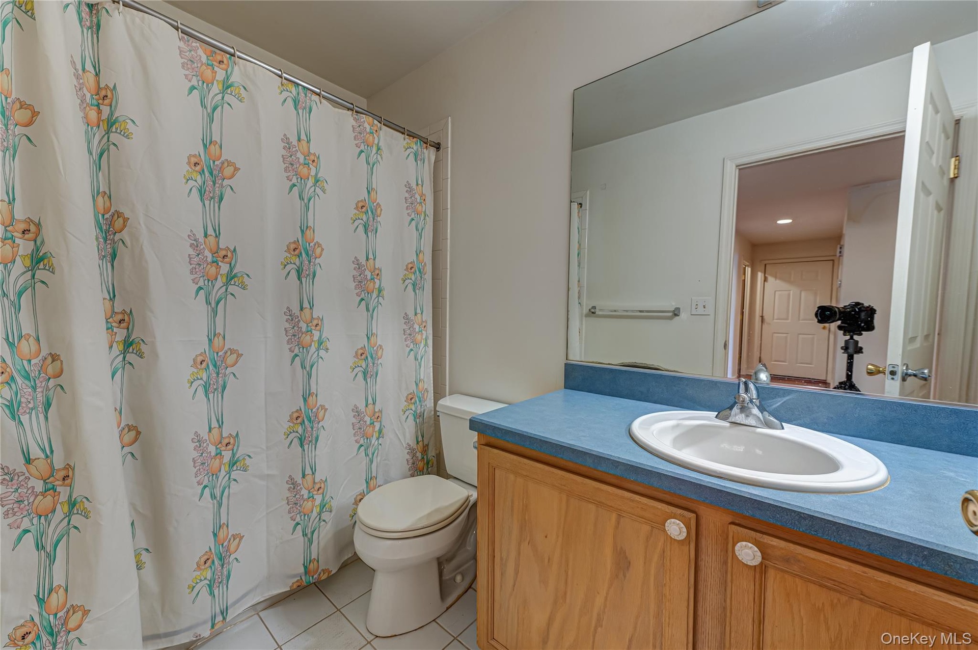 Hallway Bathroom
