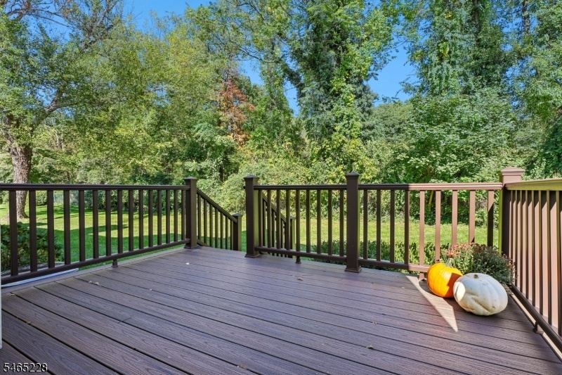 Rear Deck