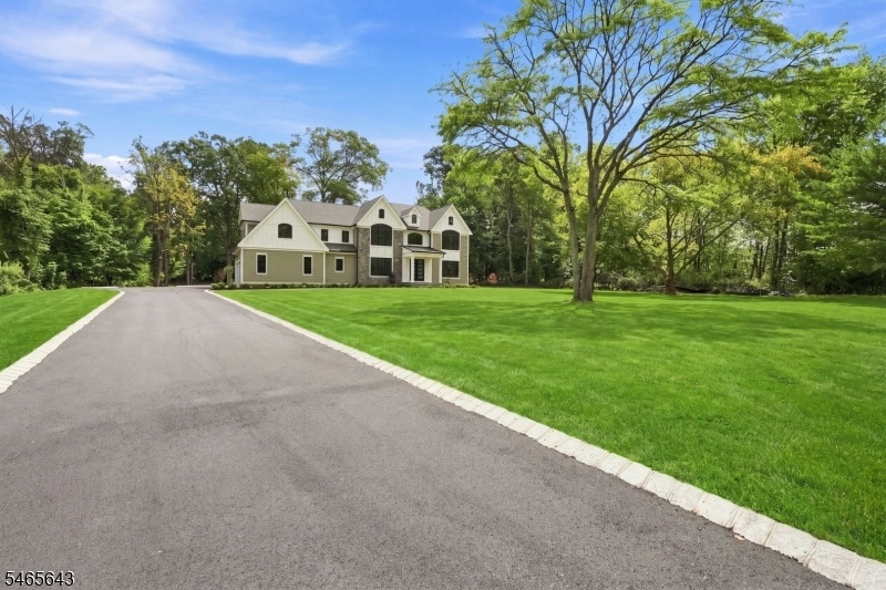 Driveway View