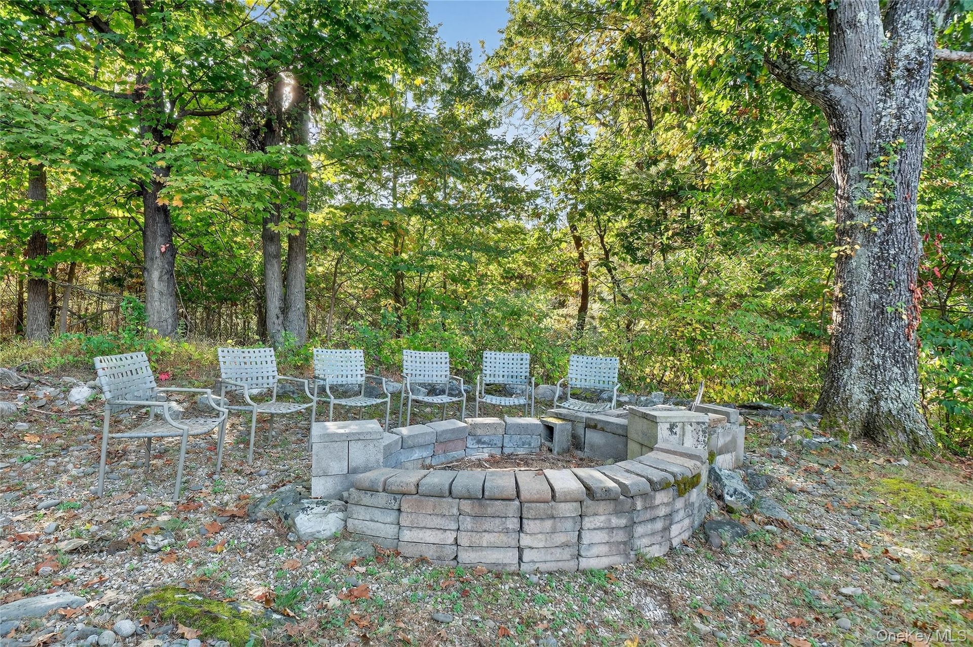 Firepit and BBQ