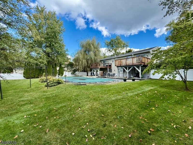 Backyard - Pool - Rear View