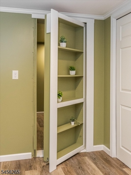 Office / Flex Room / Lower Lvl