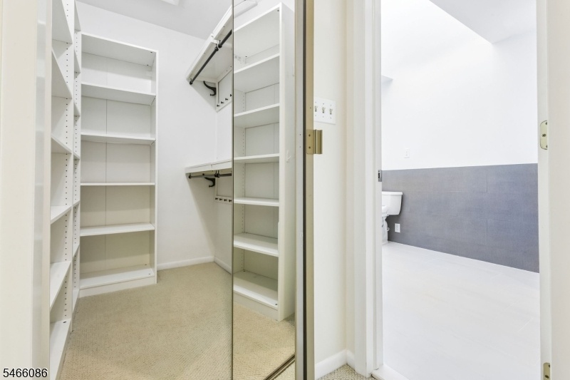 Primary Closet