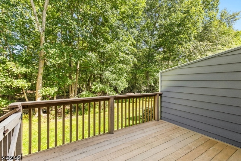Back Deck