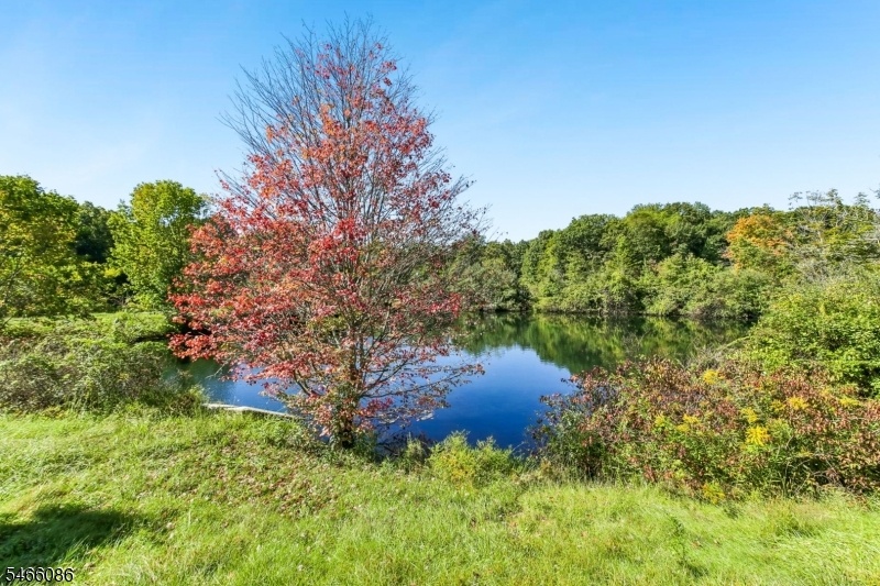 Community Pond