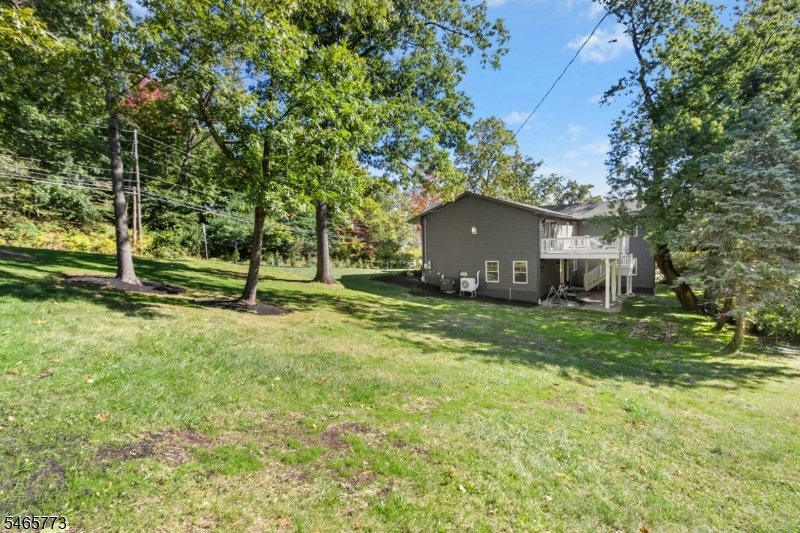 Expansive Side Yard