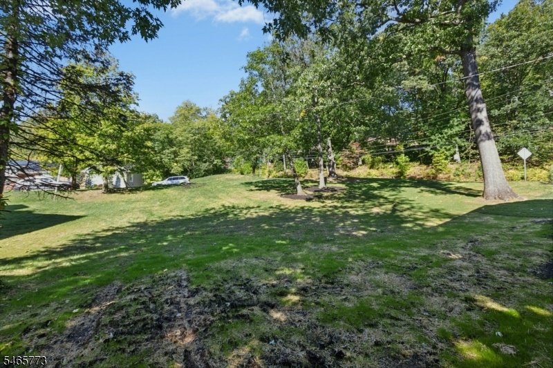 Expansive Side Yard