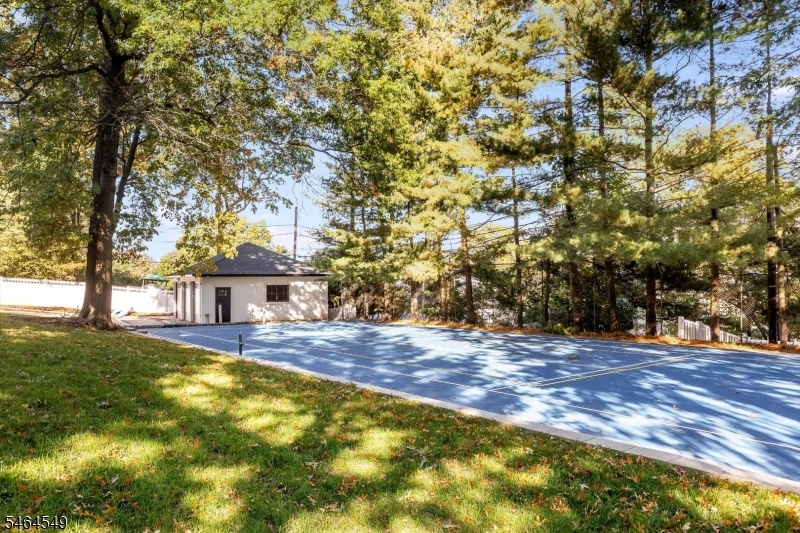 Backyard Courts