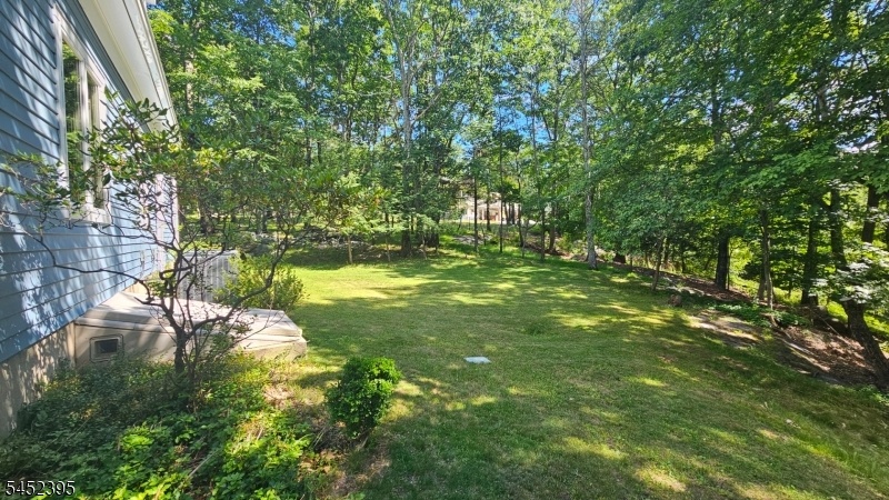 Left Side Yard