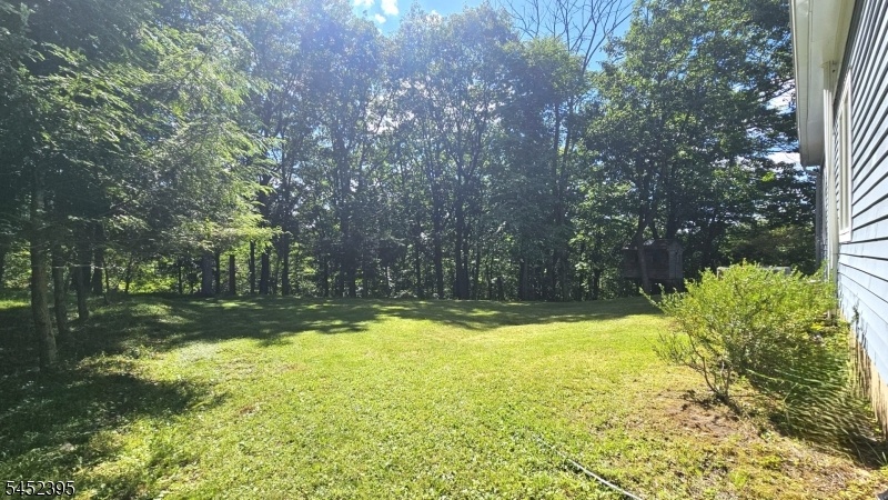 Left Side Yard