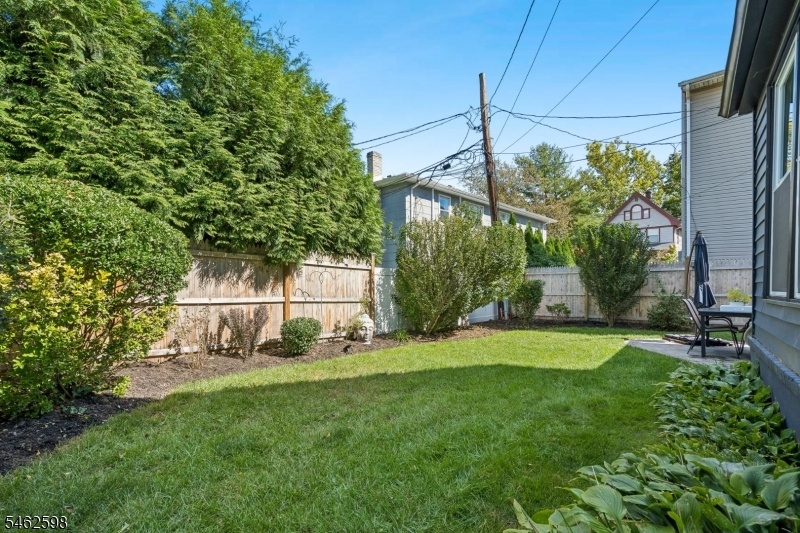 Backyard - 3rd view