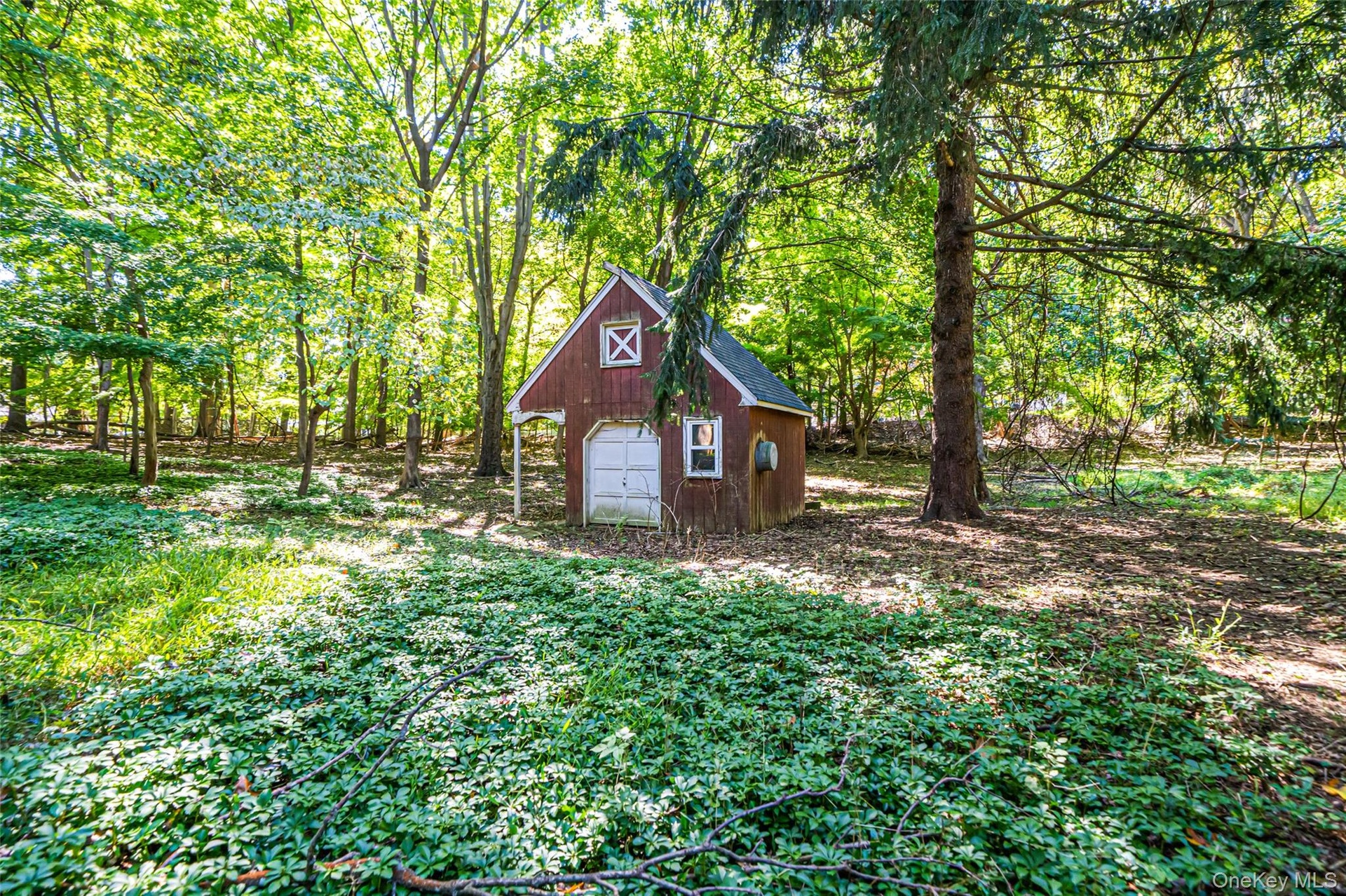 Shed in the Back Yard