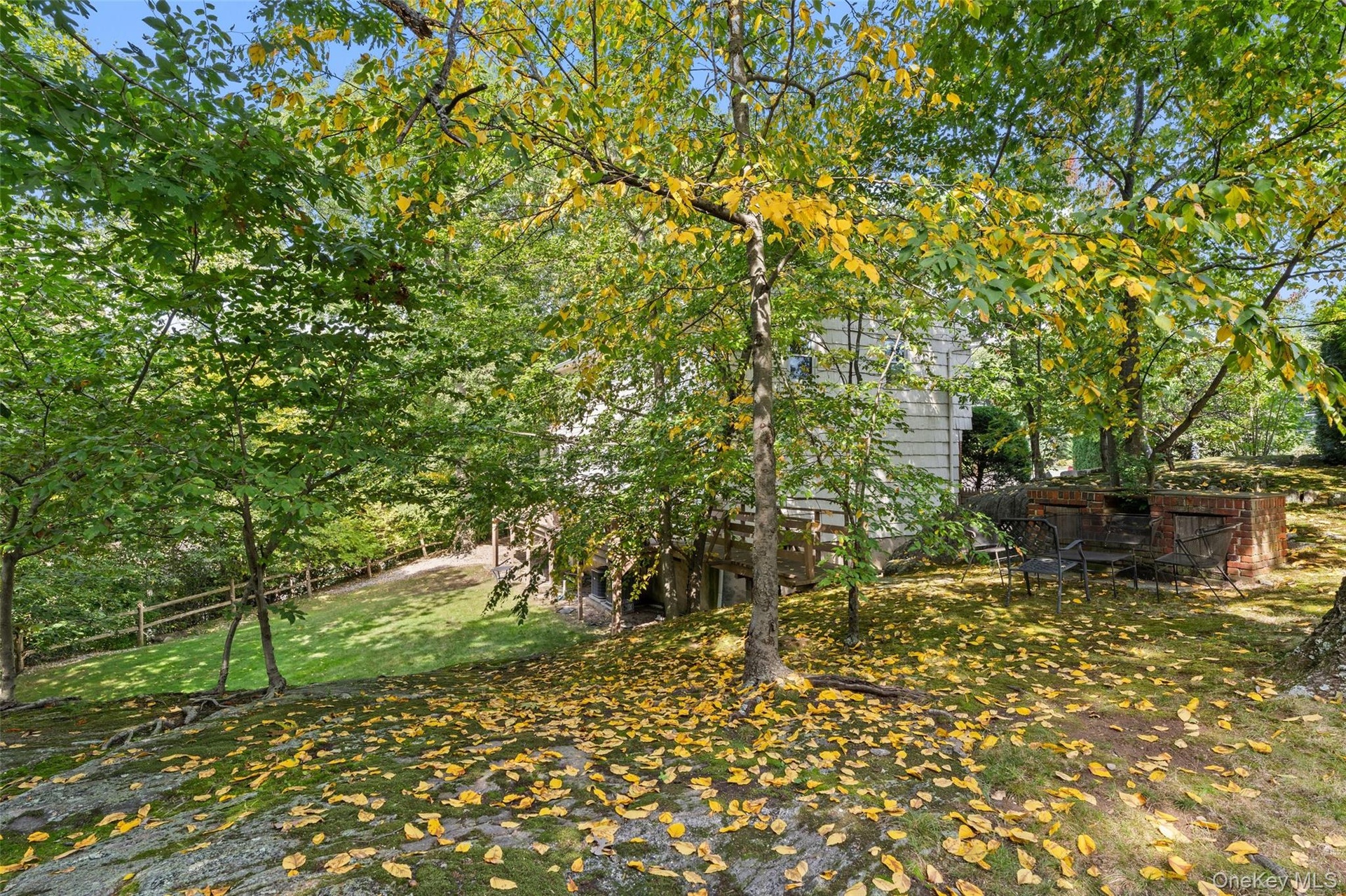 Expansive backyard.
