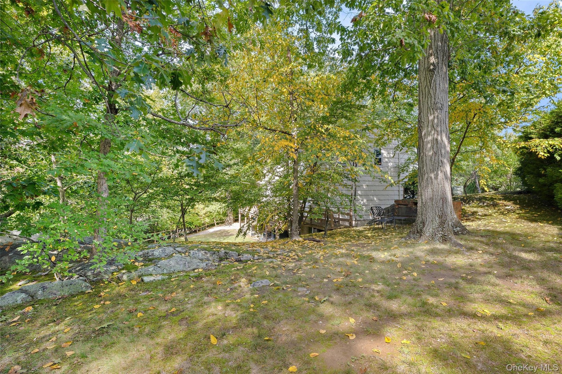 Expansive backyard.