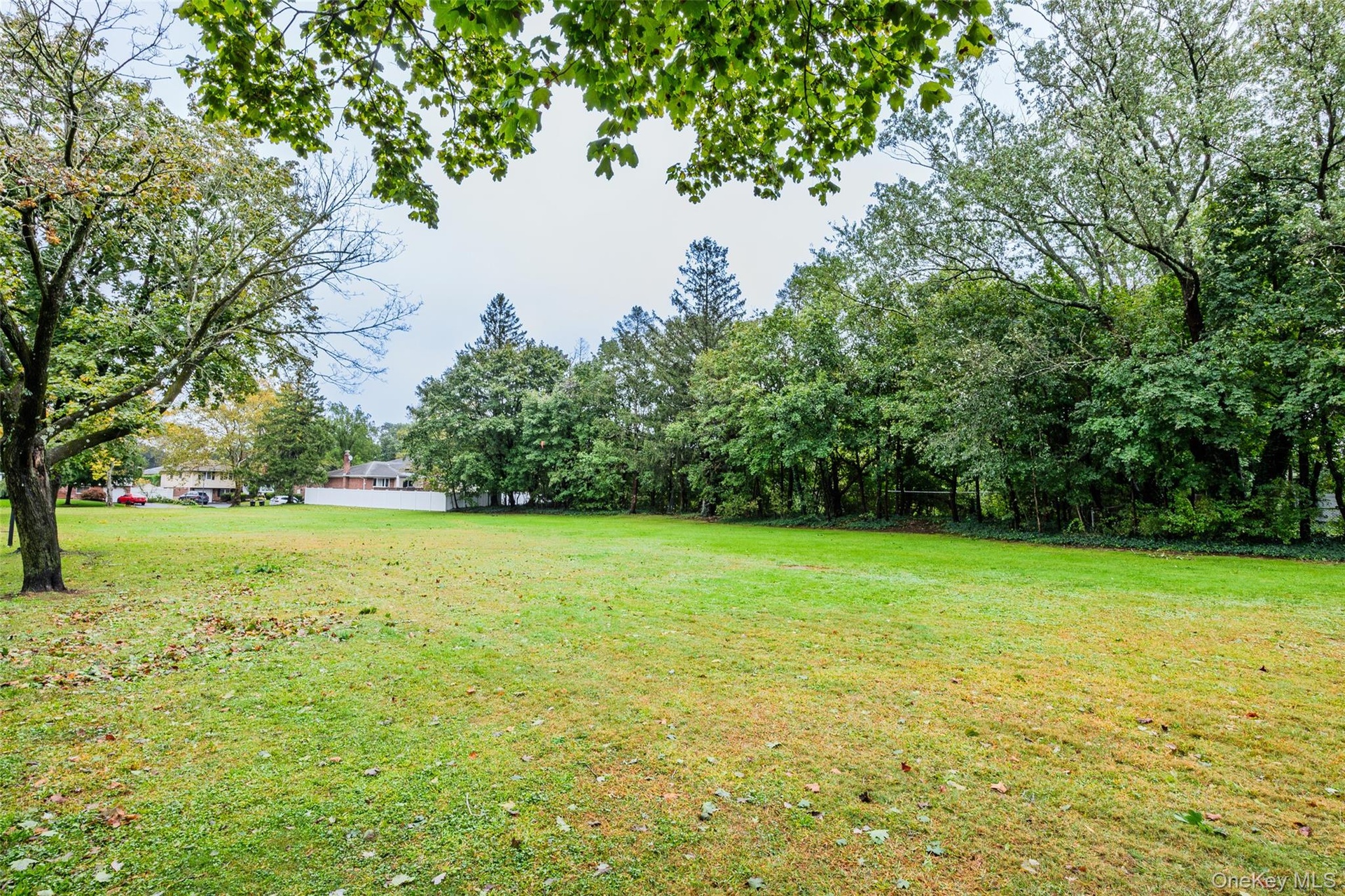 NO BUILD-Green Space Across from home