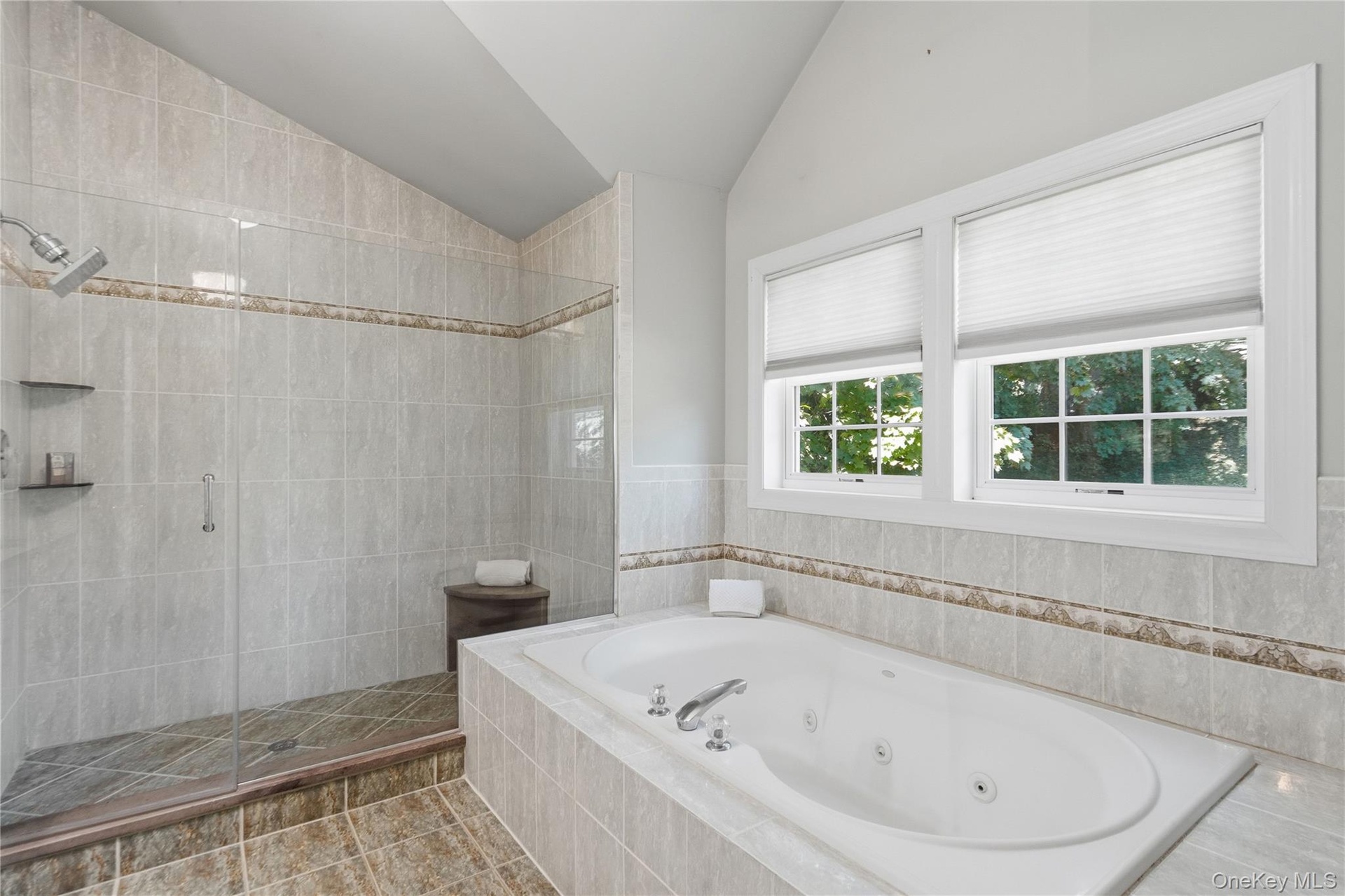 Jacuzzi tub, glass-enclosed shower, and double vanity