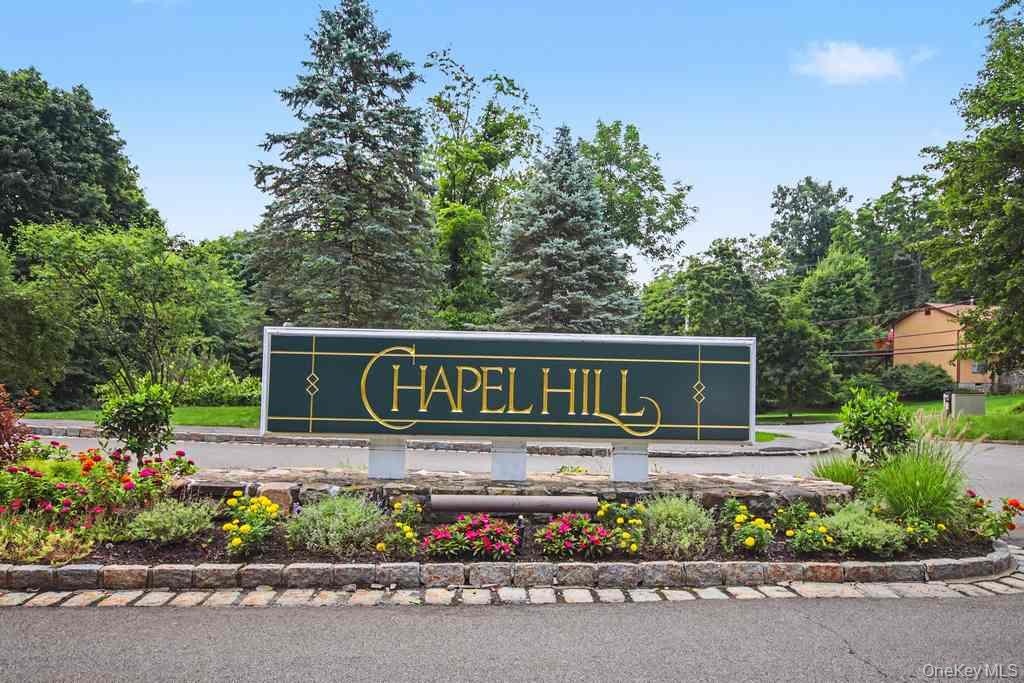 Welcome to Chapel Hill!