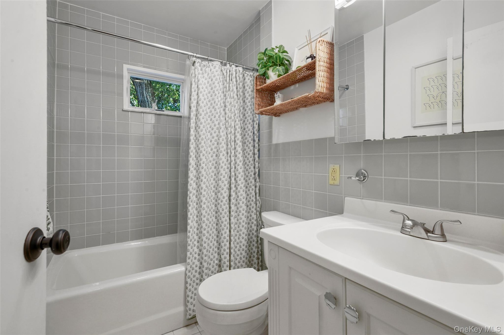 Main Level Hall Bathroom