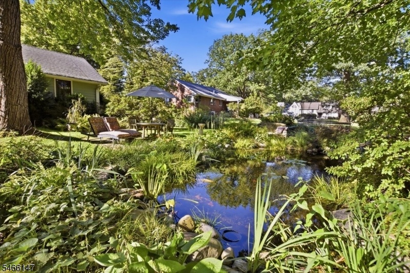 KOI POND