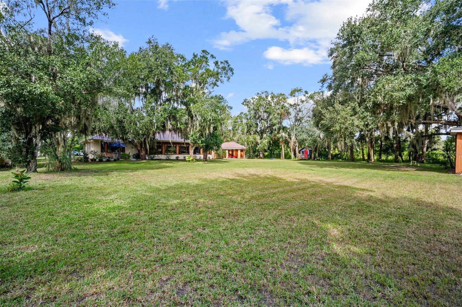 Backyard