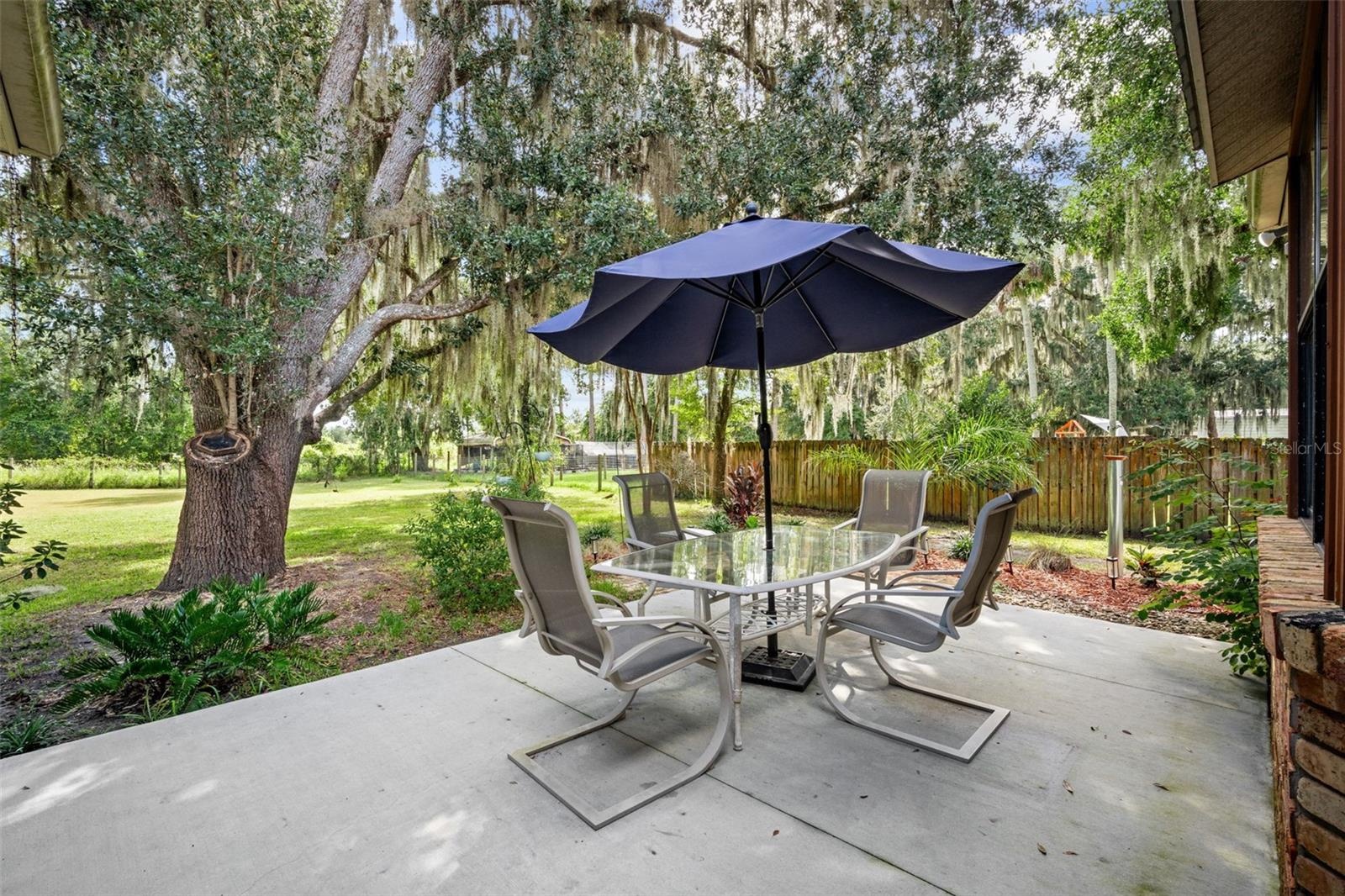Patio/ Backyard