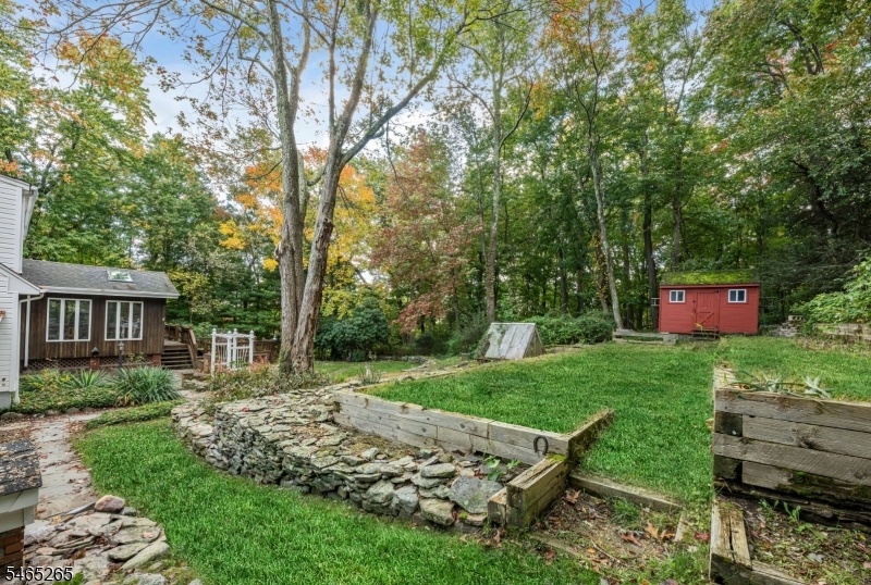 Backyard View