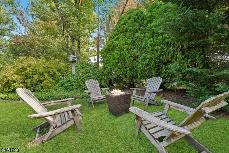 Rear Yard