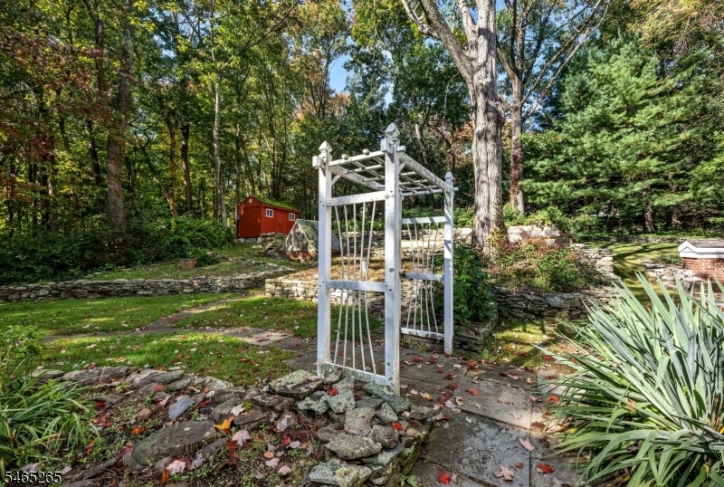 Expansive yard
