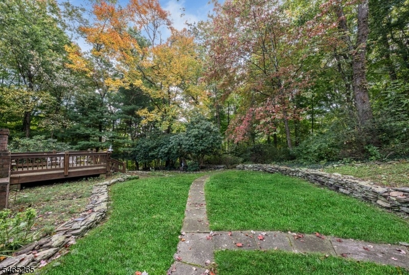 Backyard View