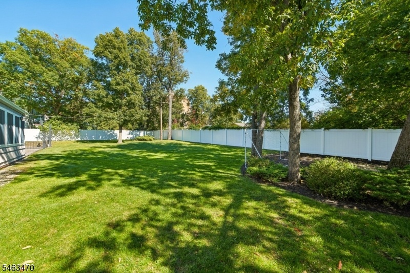 Yard