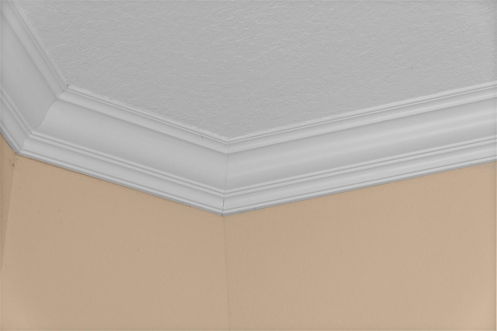 Beautiful crown molding highlights the high ceilings and attention to detail.