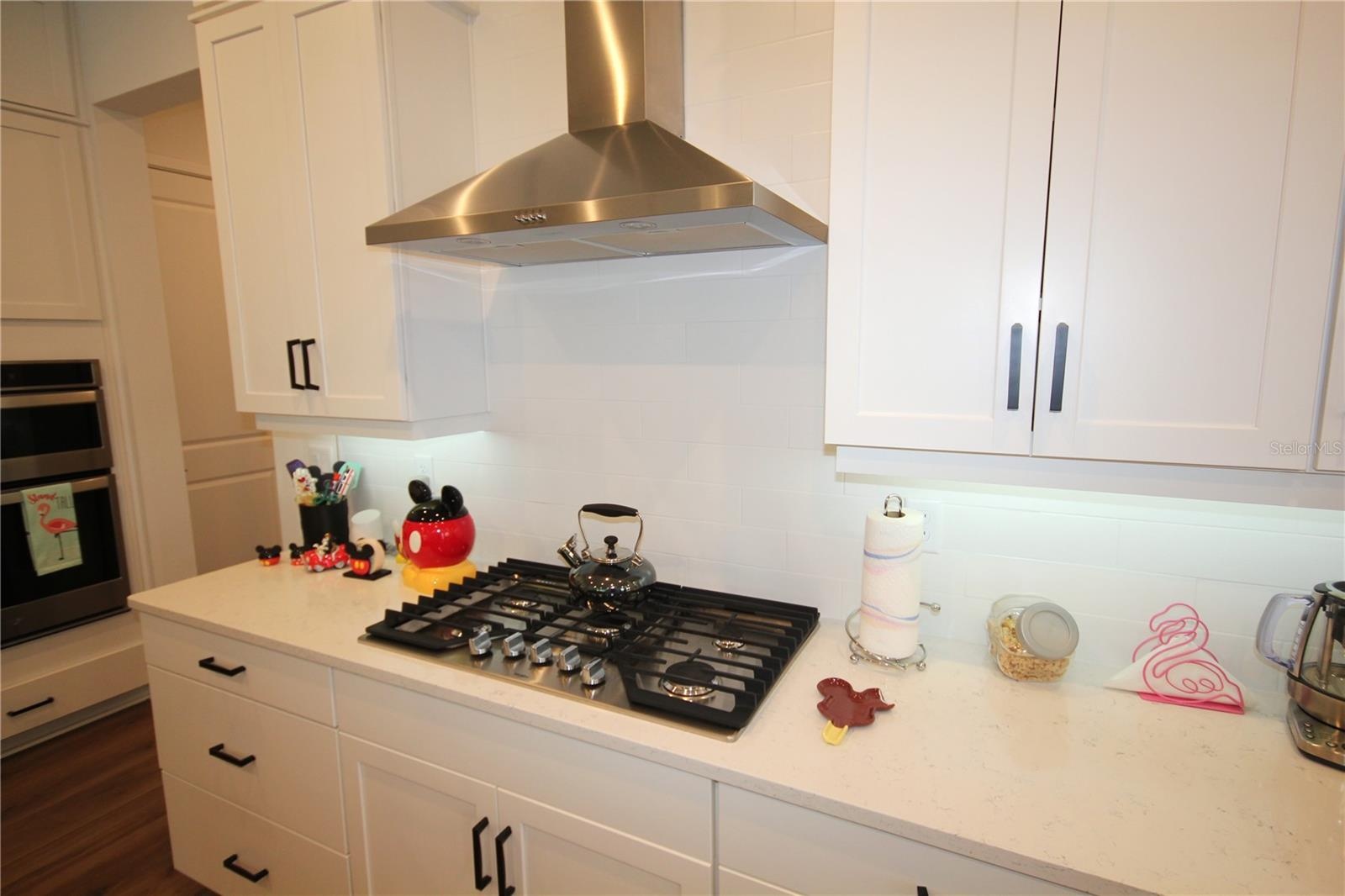 GAS RANGE AND VENT