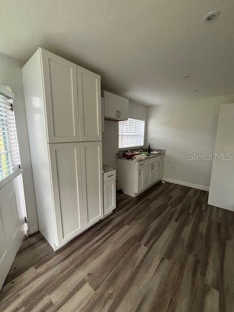ADU/Seperate In-Law Suite- Kitchen