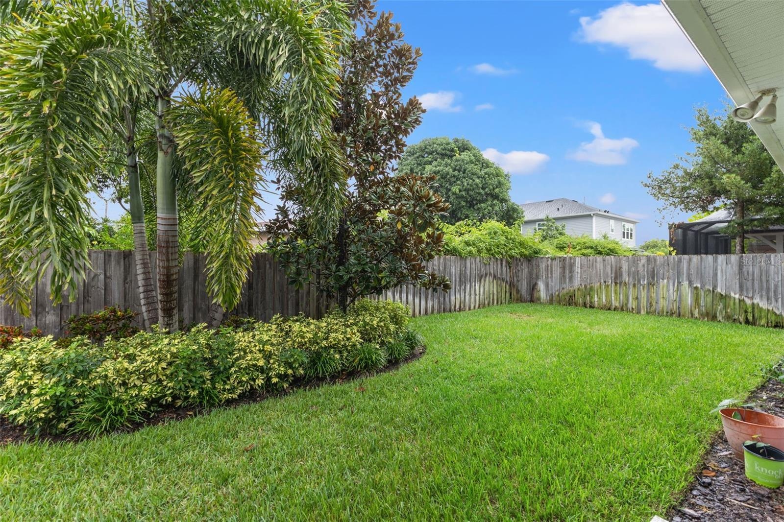 Backyard