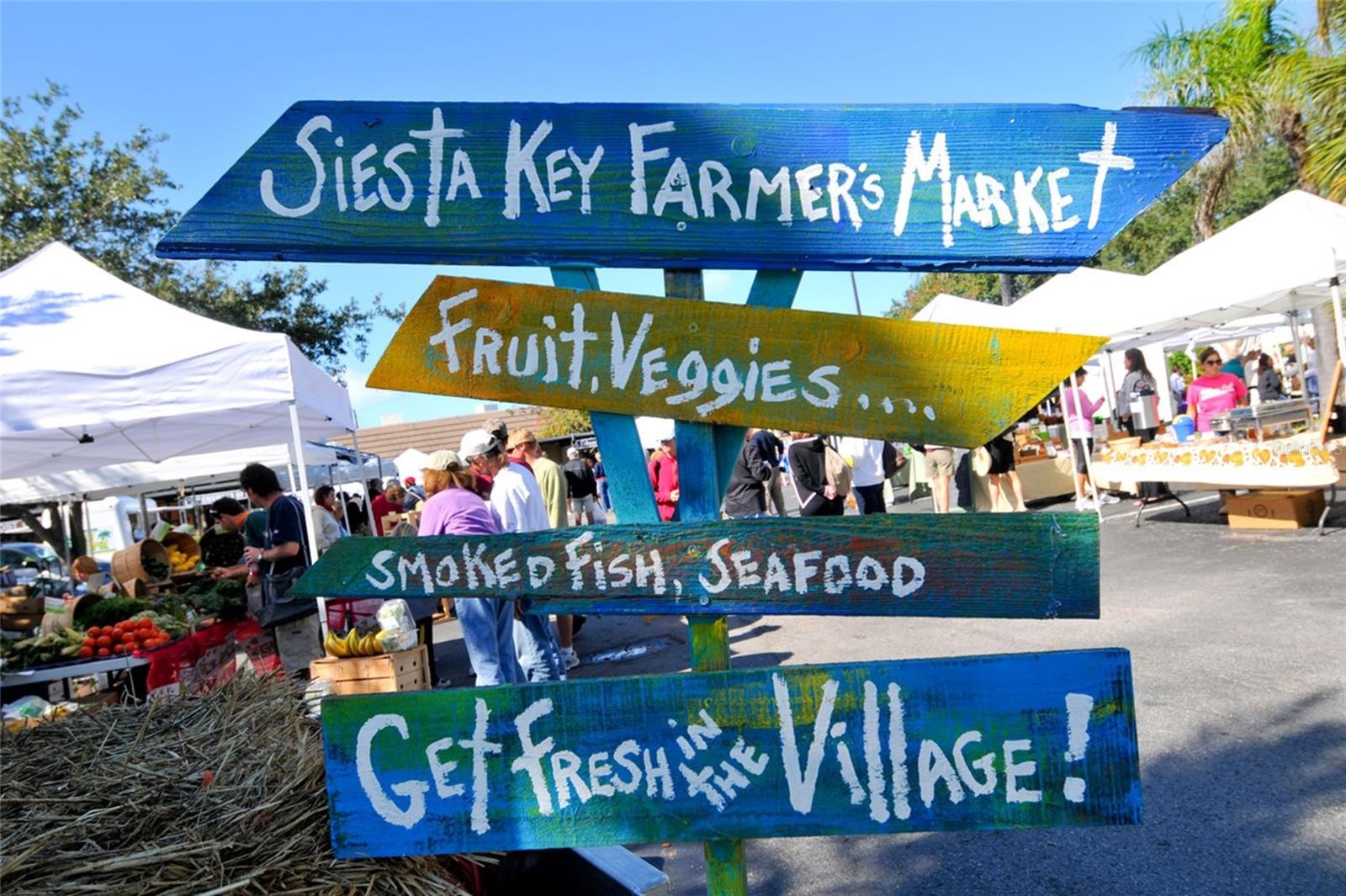 So Much To Do on Siesta Key!
