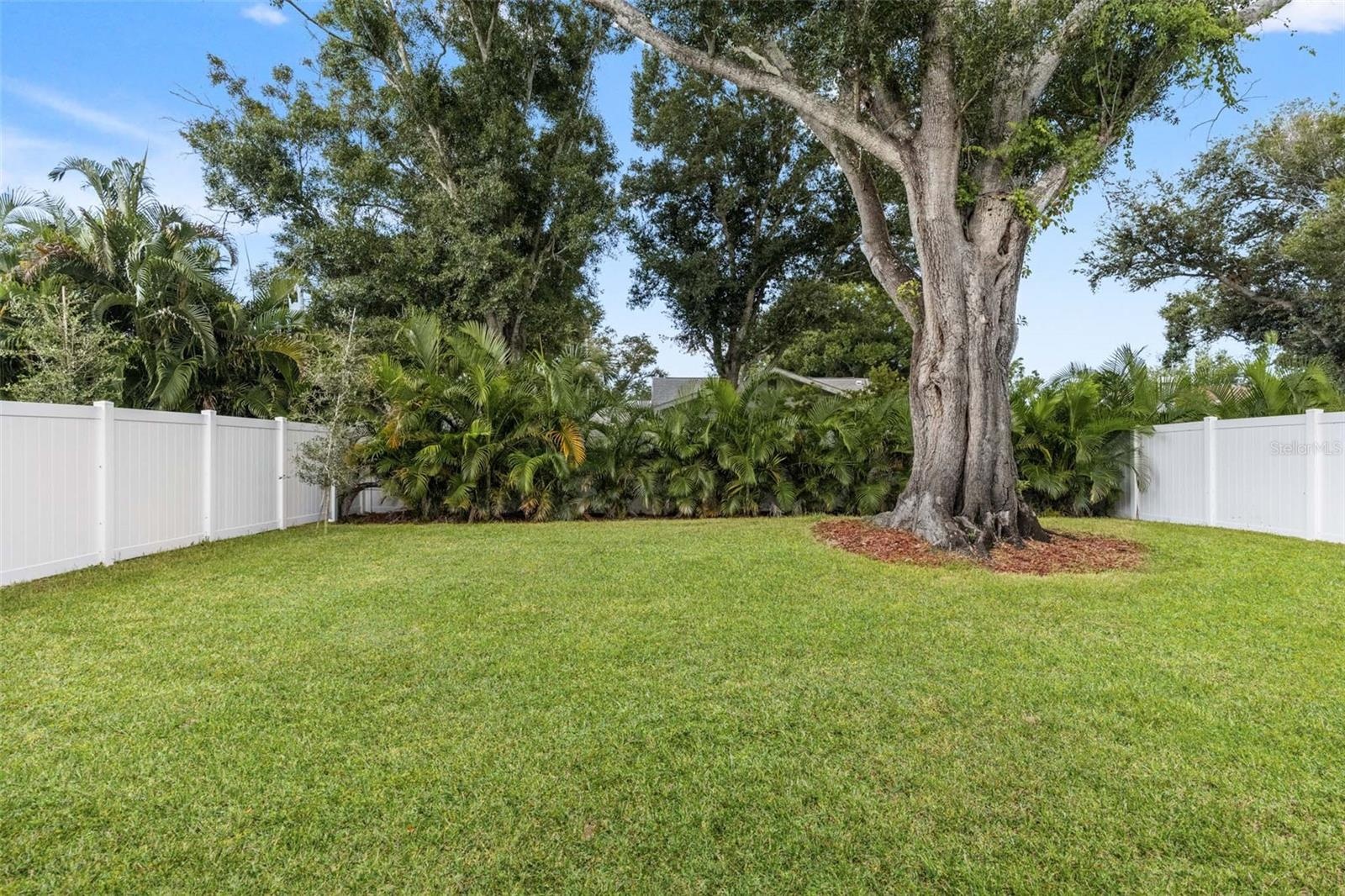 Large backyard