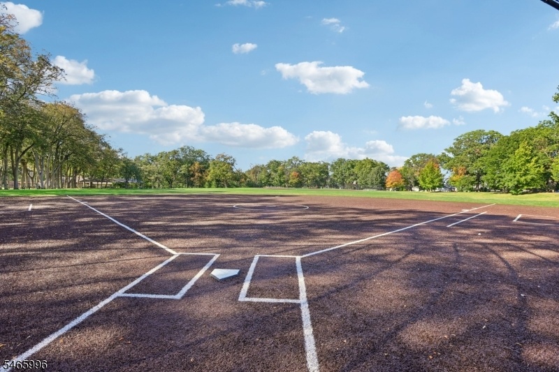 Local Parks