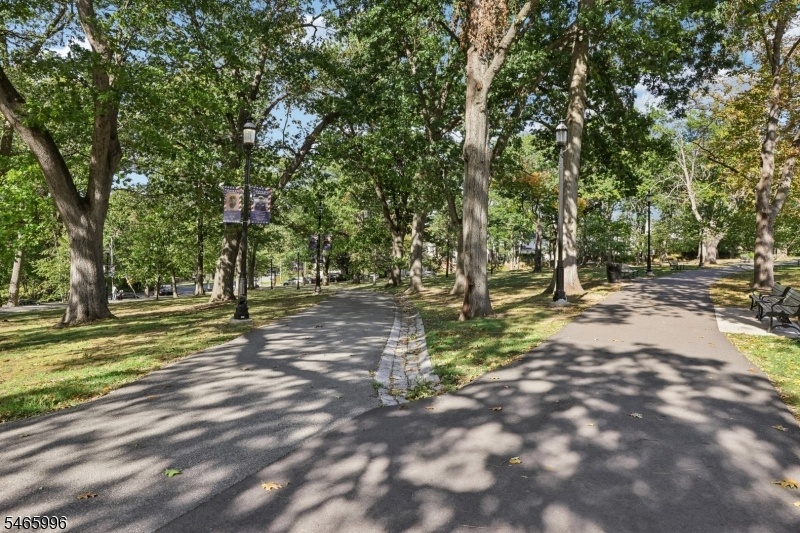 Local Parks
