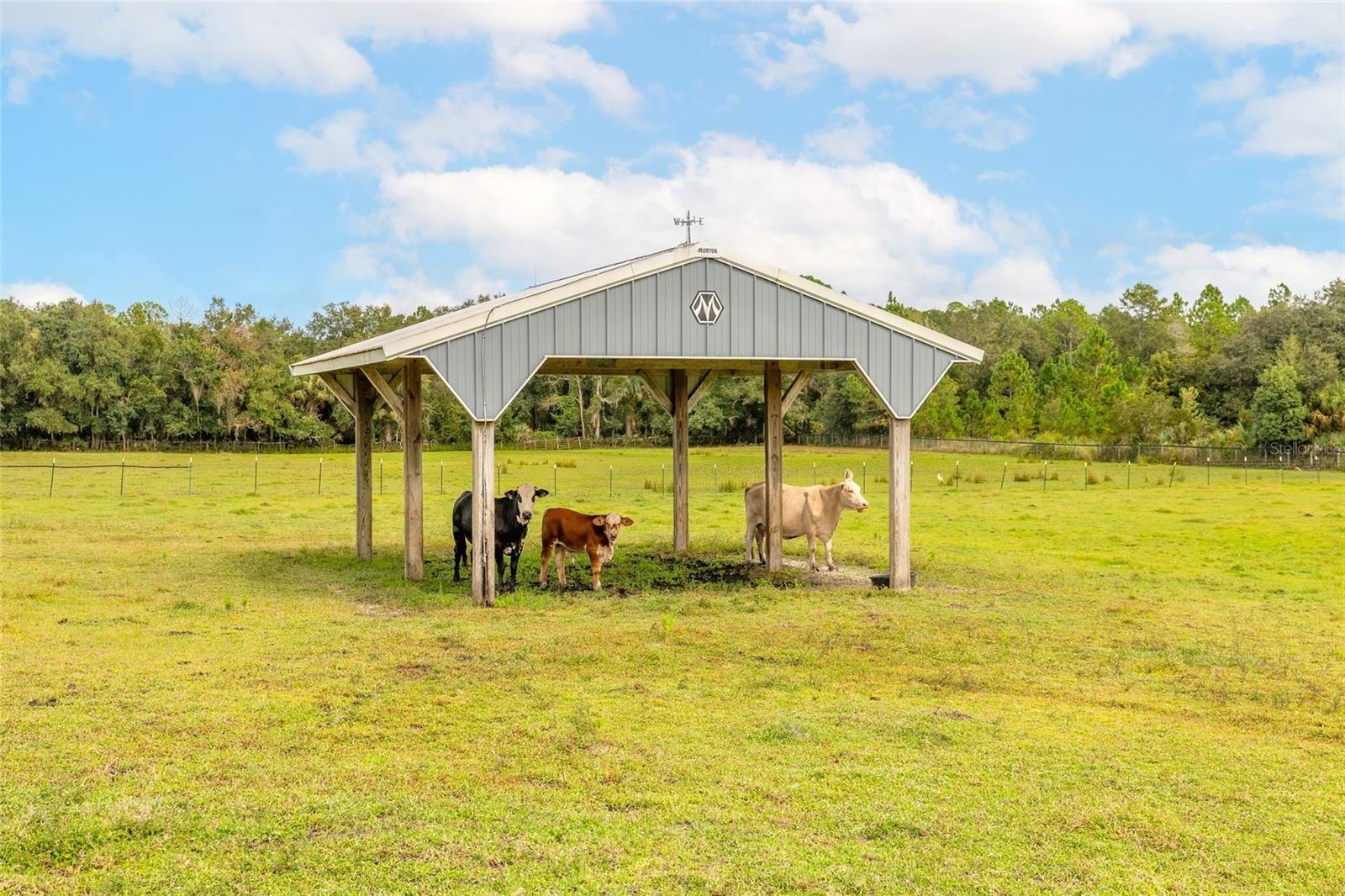 Located in back of property