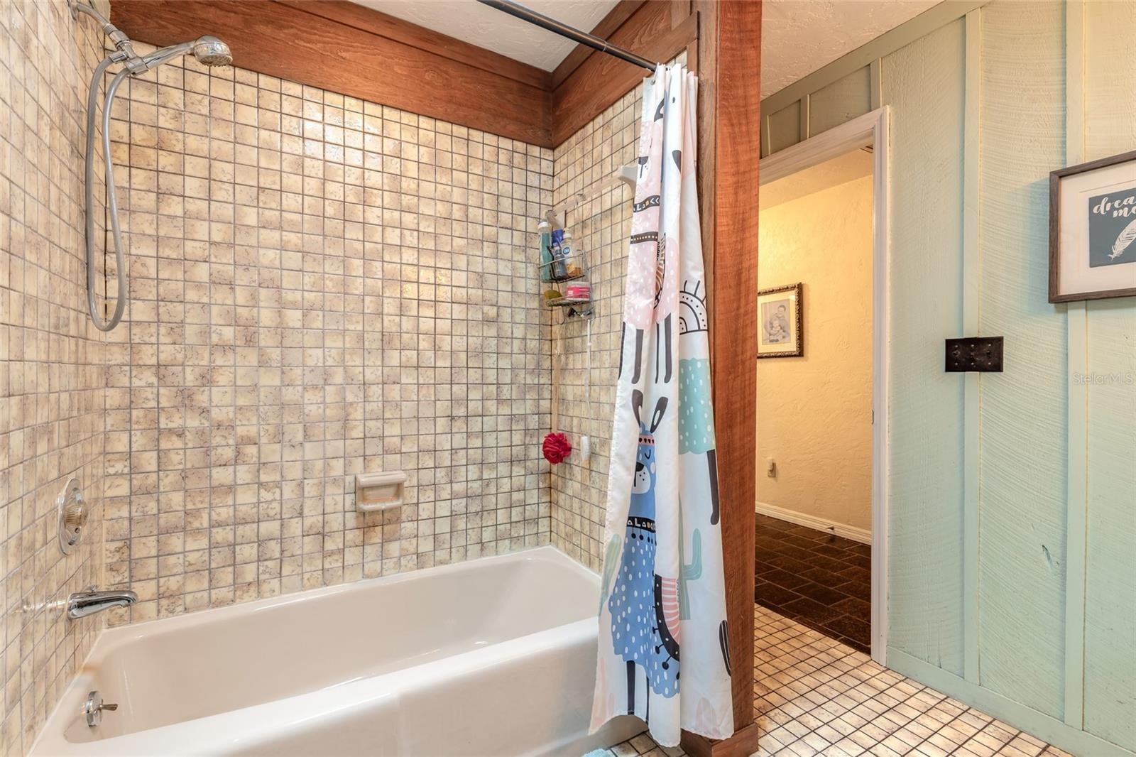 Guest bathroom