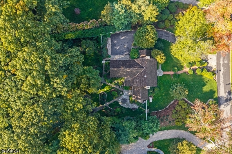 Aerial Top Down