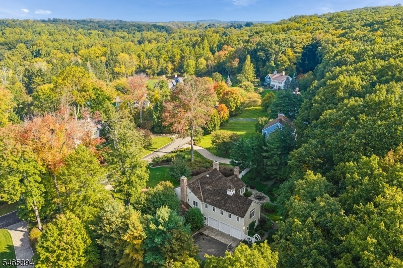 Aerial Neighborhood
