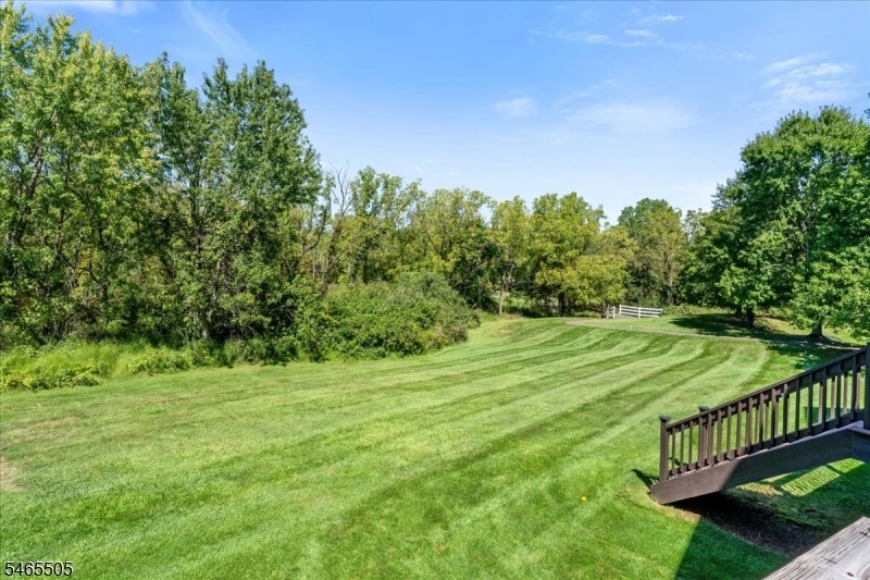 back yard