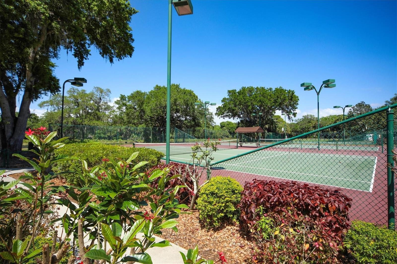 Tennis and Pickle Ball!