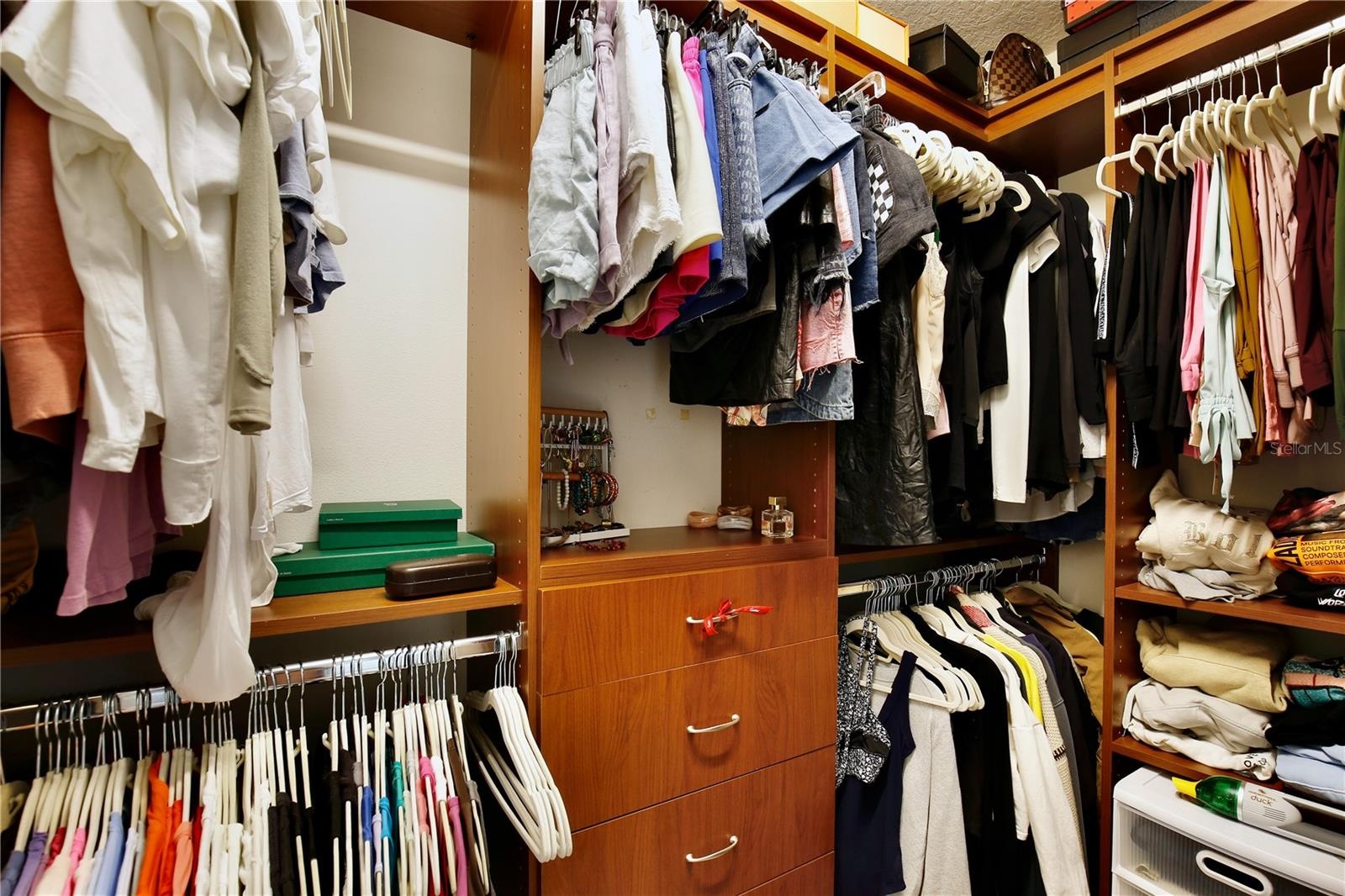 Primary Walk-in Closet