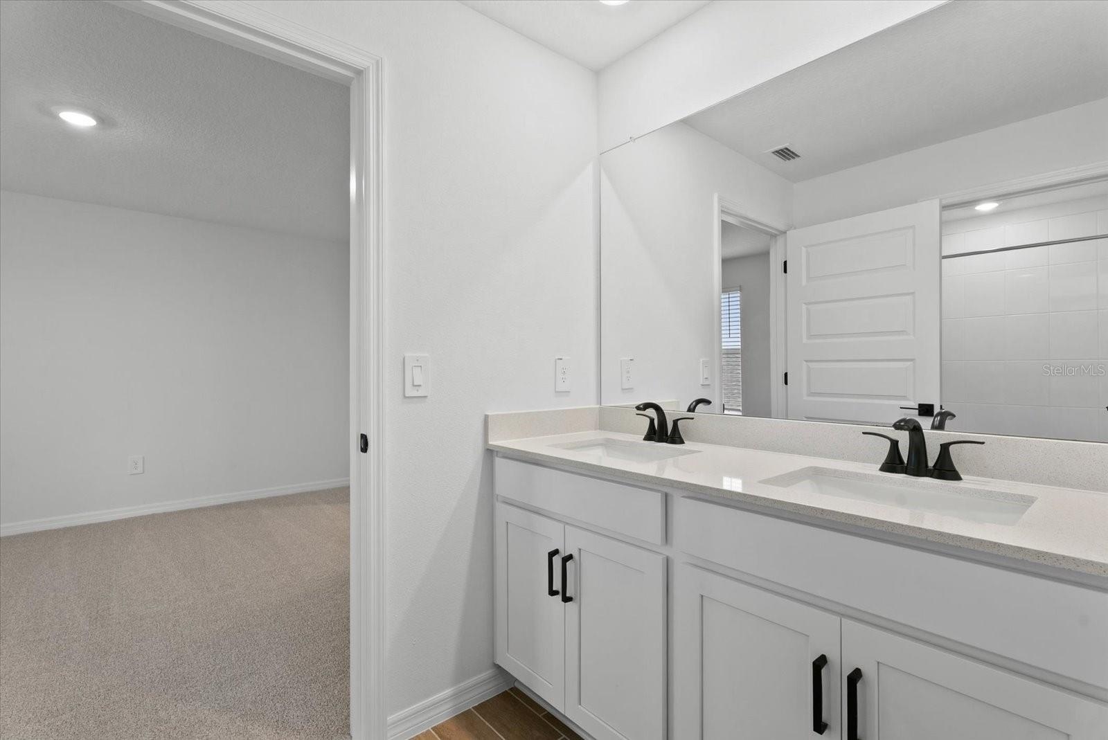 Jack and Jill Bathroom