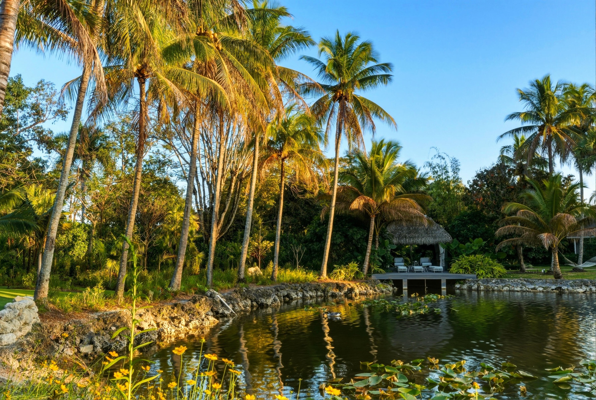 BACK POND VIEW