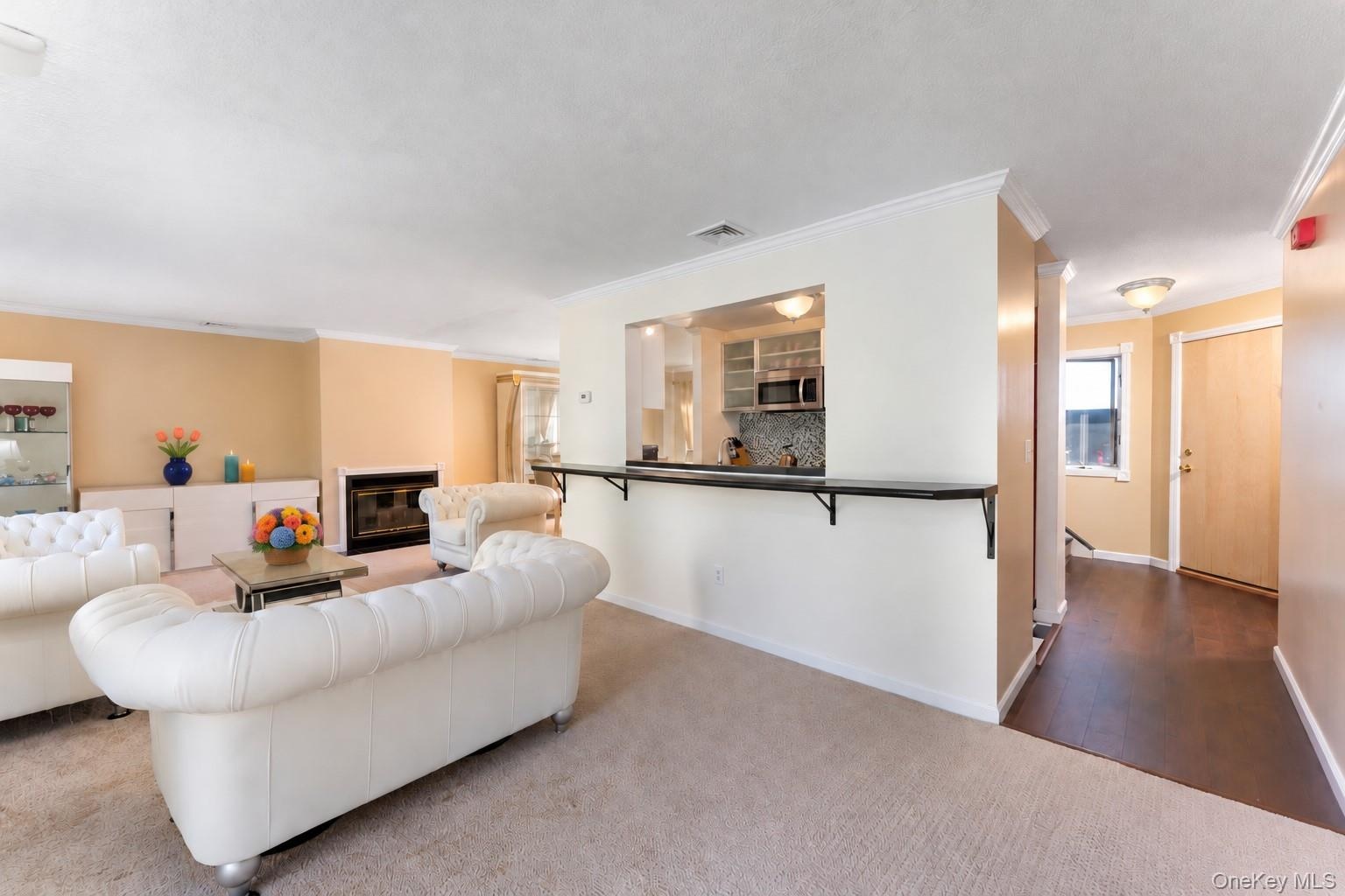 Living Room/Kitchen and Entryway