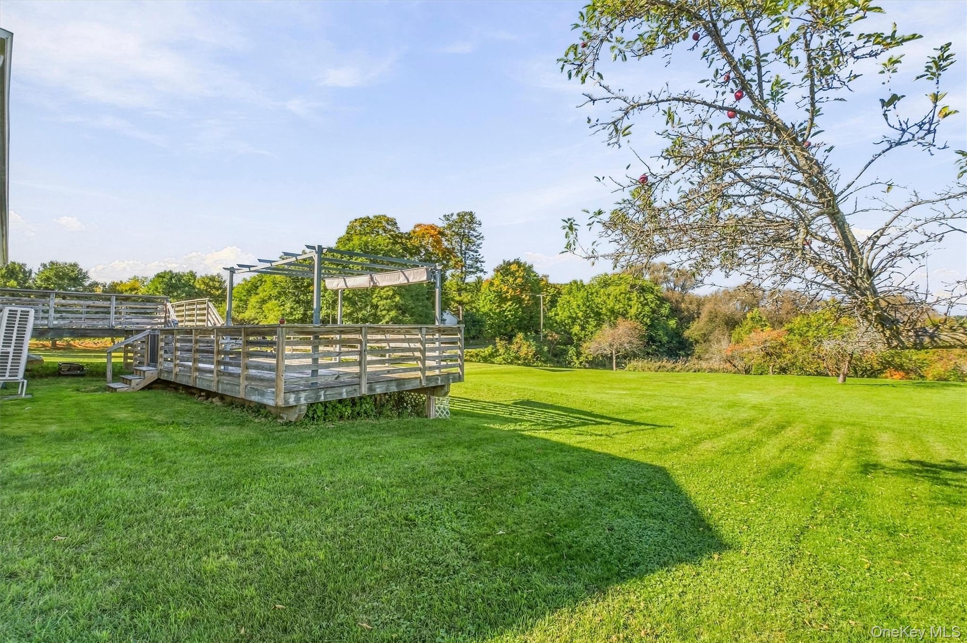 Expansive  Property