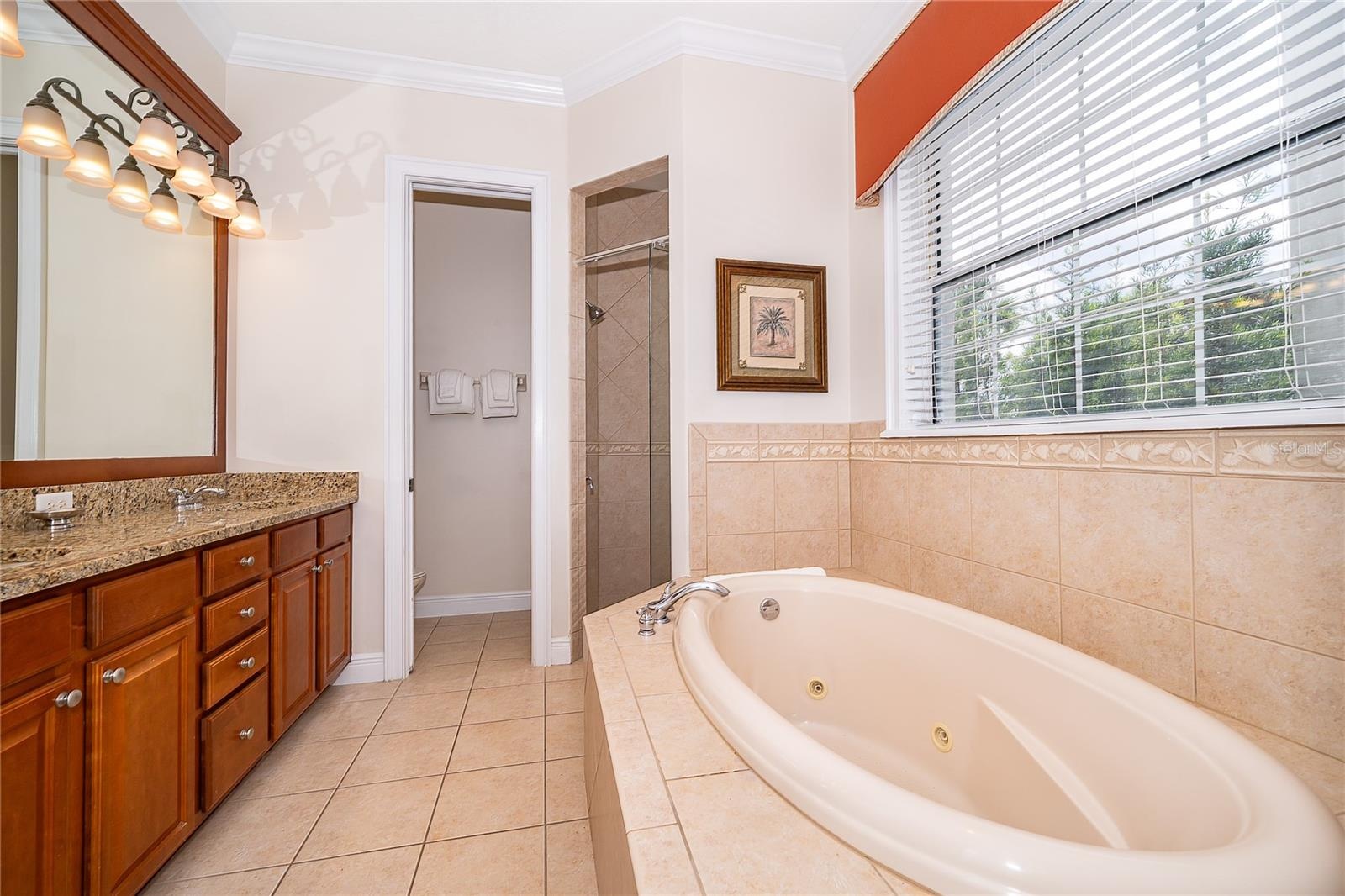 Primary Bath downstairs